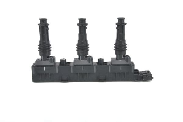 Ateşleme bobin modülü 6