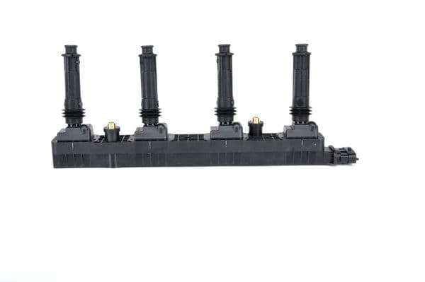 Ateşleme bobin modülü 5