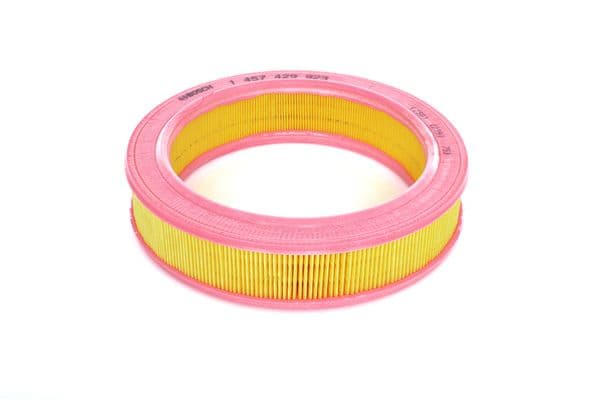 Hava filtresi elemanı, Motor 1