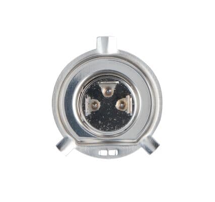 Ampul, Ultra White 5