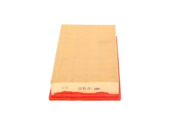 Hava filtresi elemanı, Motor 1