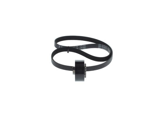 Dişli V kayışı/Germe kasnağı Seti 4