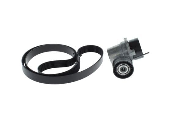 Dişli V kayışı/Germe kasnağı Seti 1