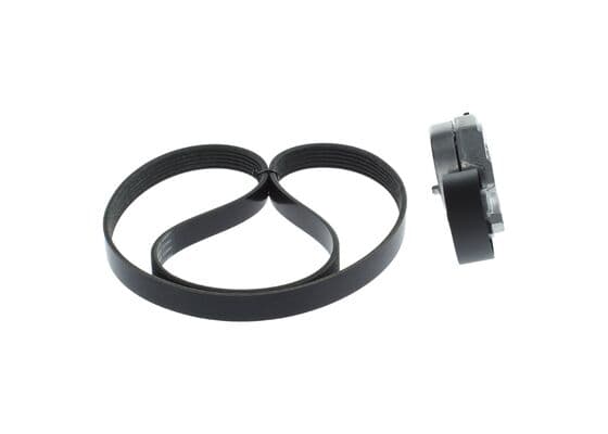 Dişli V kayışı/Germe kasnağı Seti 1