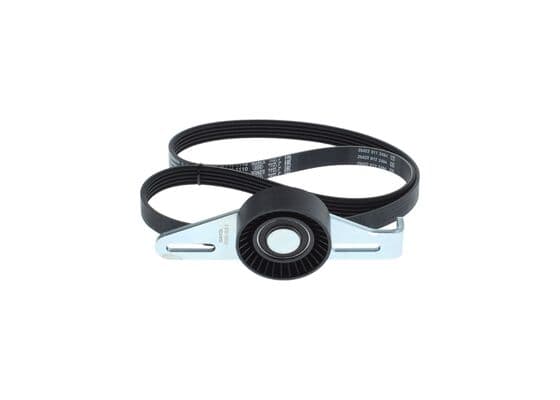 Dişli V kayışı/Germe kasnağı Seti 4