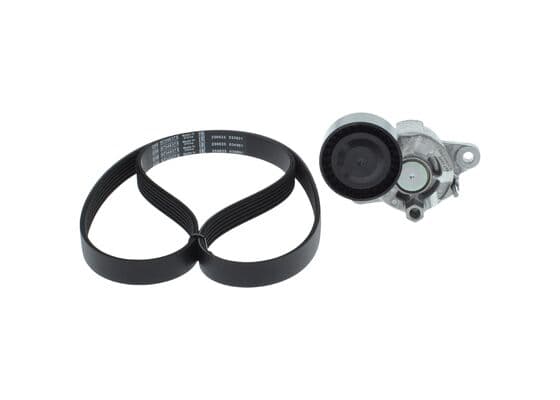 Dişli V kayışı/Germe kasnağı Seti 1