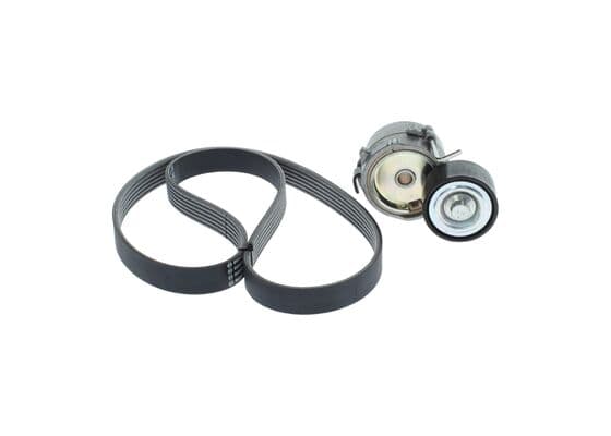 Dişli V kayışı/Germe kasnağı Seti 1